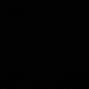 Meet your Posher, Jackson